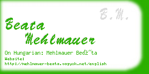 beata mehlmauer business card